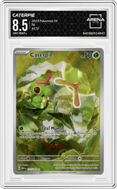 Caterpie