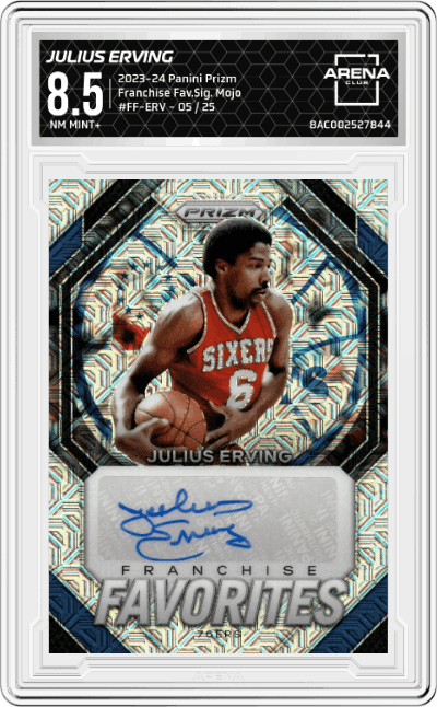 Julius Erving