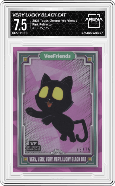 Very, Very, Very, Very Lucky Black Cat