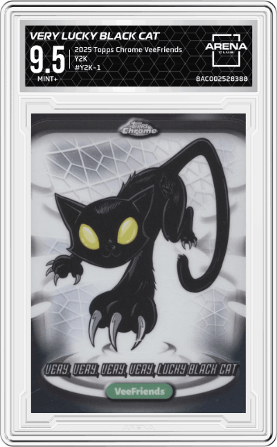 Very, Very, Very, Very Lucky Black Cat