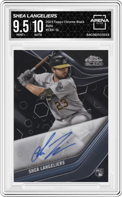Shea Langeliers