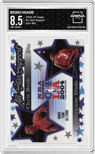 Chris Bosh / Dwyane Wade