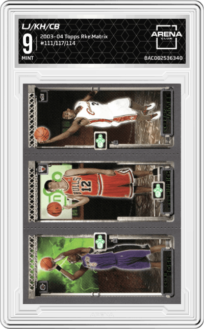 LeBron James/Kirk Hinrich/Chris Bosh