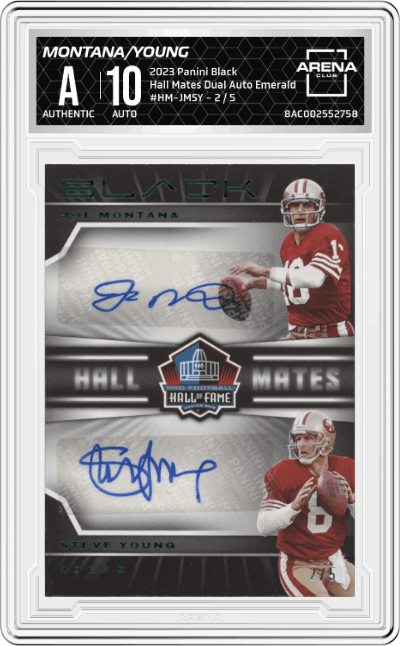 Joe Montana/Steve Young