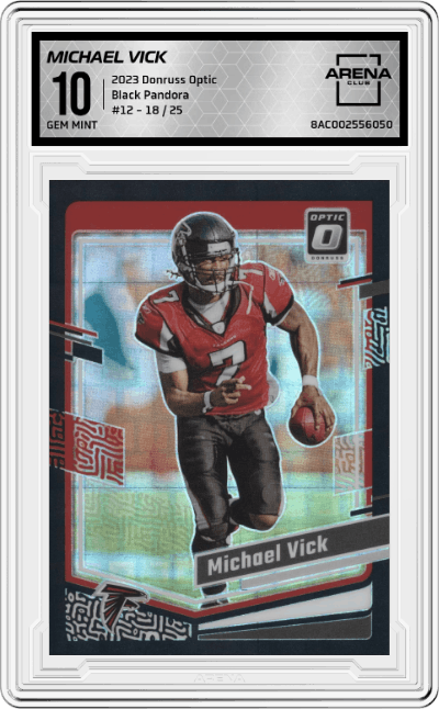 Michael Vick