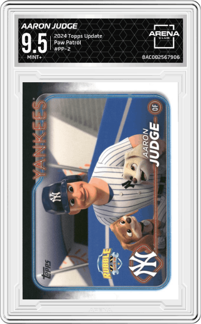 Aaron Judge