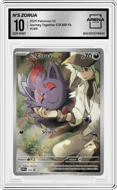 N's Zorua