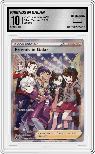 Friends in Galar