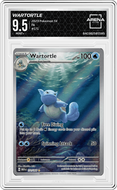 Wartortle