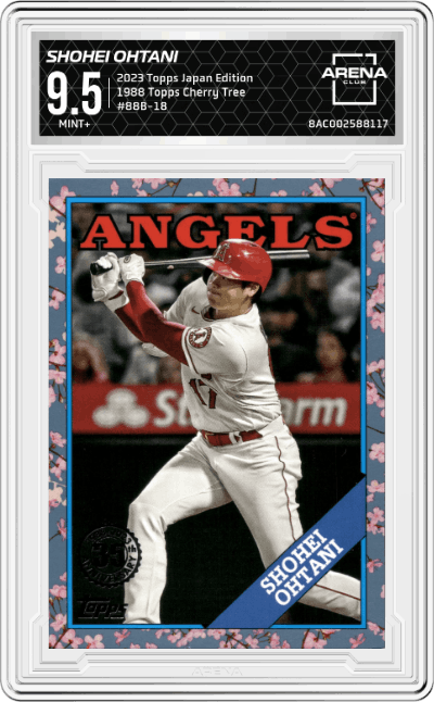 Shohei Ohtani