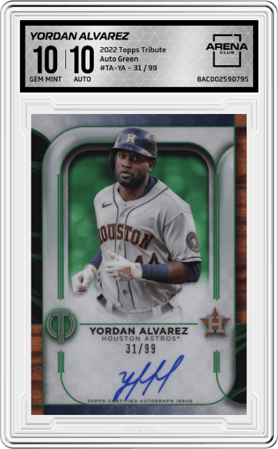Yordan Alvarez