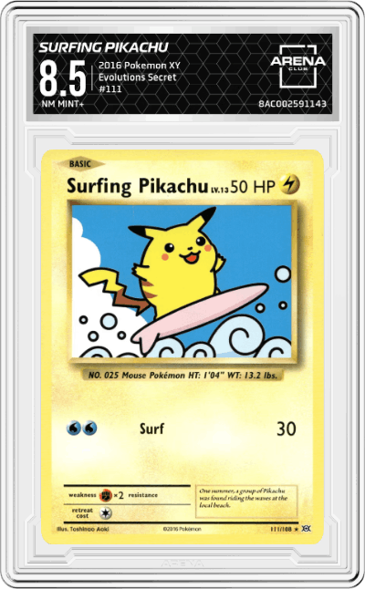 Surfing Pikachu