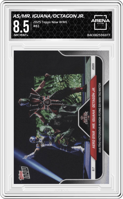 Aero Star/Mr. Iguana/Octagón Jr.