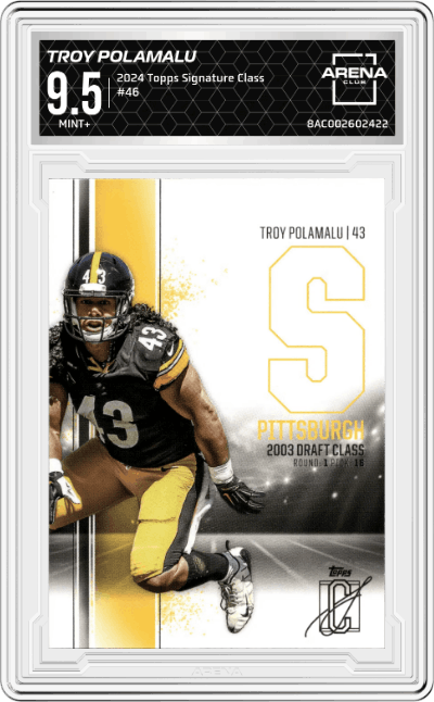 Troy Polamalu