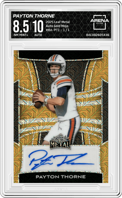 Payton Thorne