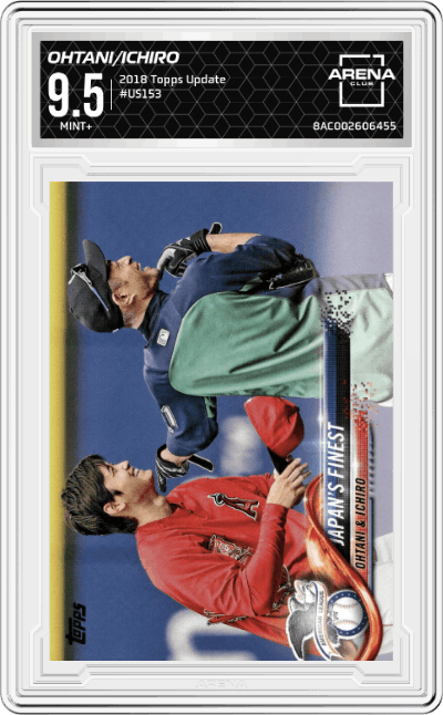 Shohei Ohtani/Ichiro Suzuki