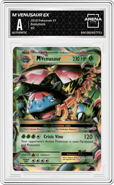 M Venusaur EX