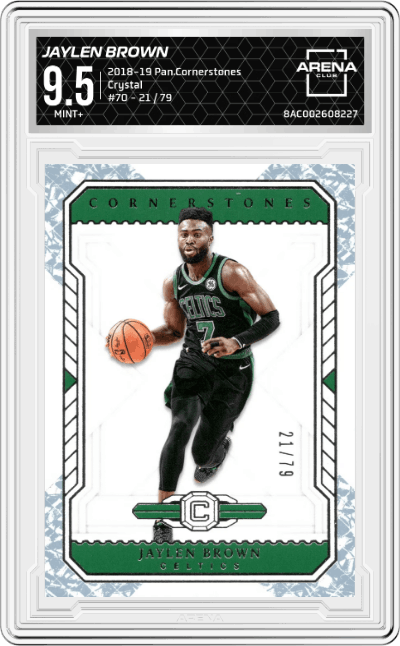 Jaylen Brown