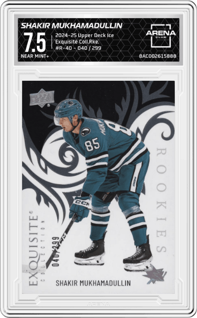 Shakir Mukhamadullin