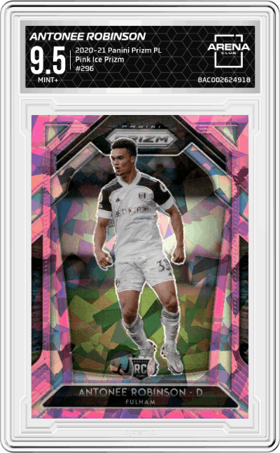 Antonee Robinson