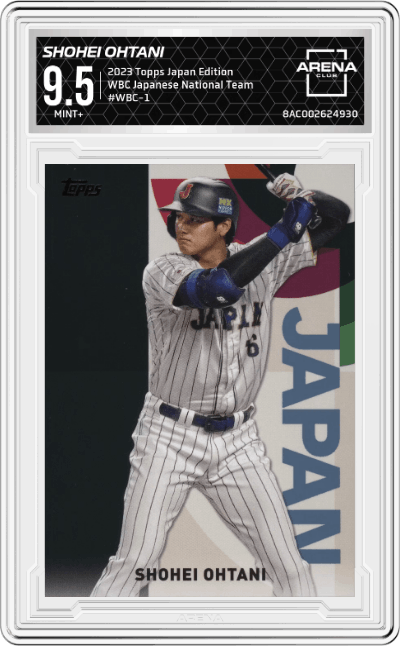 Shohei Ohtani 
