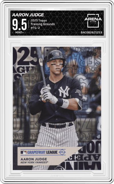 Aaron Judge