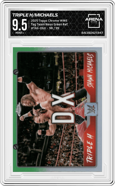 Triple H/Shawn Michaels