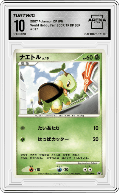 Turtwig
