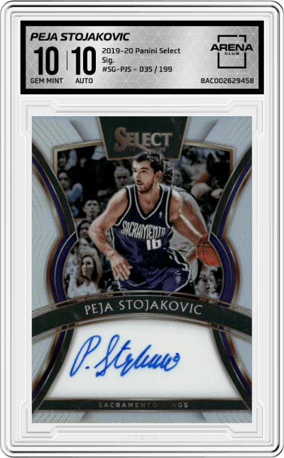 Peja Stojakovic