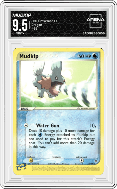Mudkip