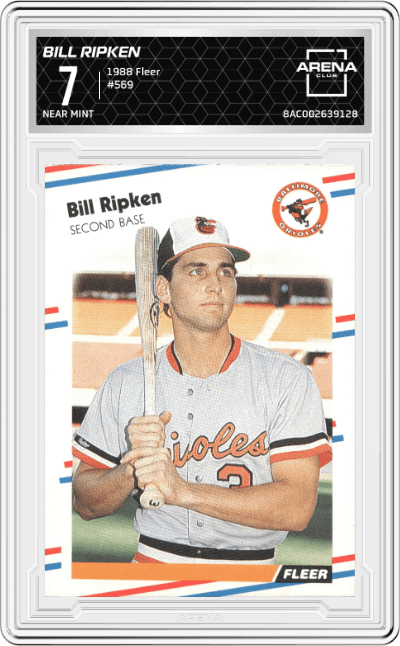 Bill Ripken