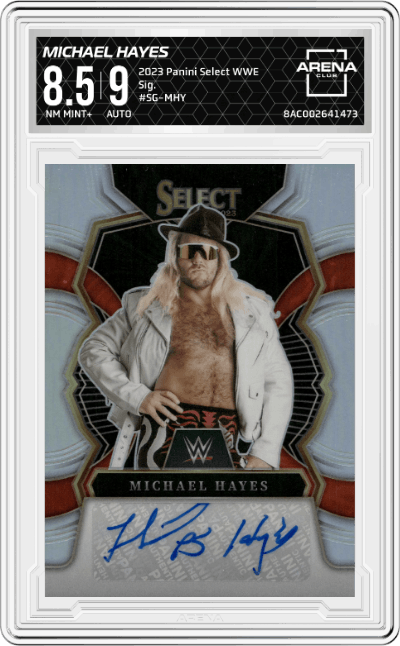 Michael Hayes