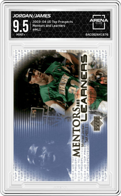 Michael Jordan/LeBron James