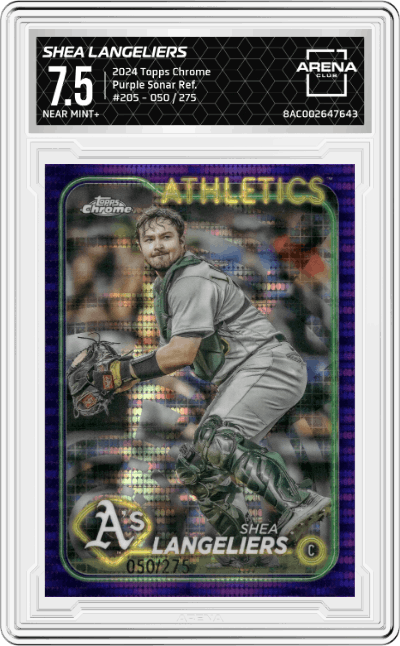 Shea Langeliers 