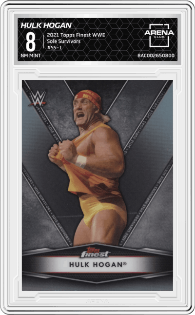 Hulk Hogan