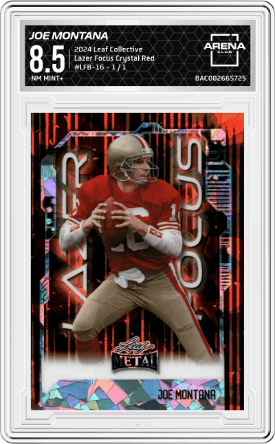 Joe Montana