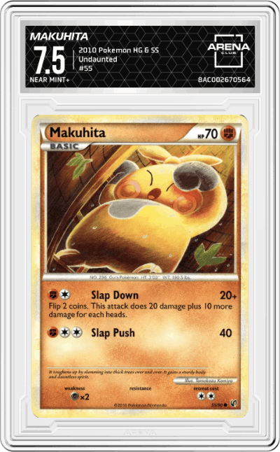 Makuhita