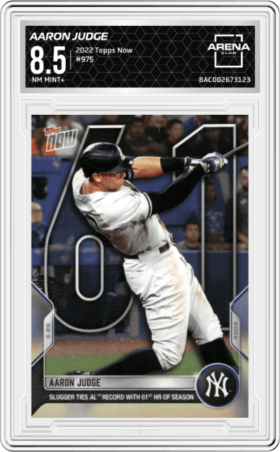 Aaron Judge