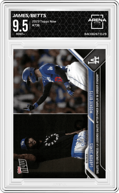 LeBron James/Mookie Betts