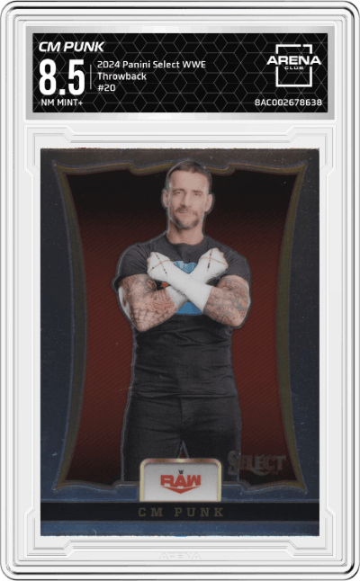 CM Punk