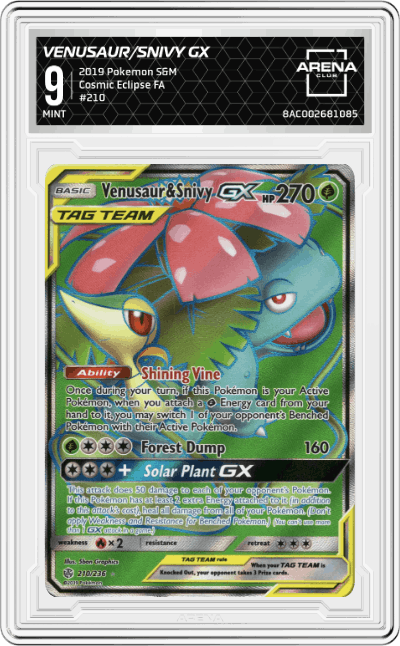 Venusaur & Snivy GX