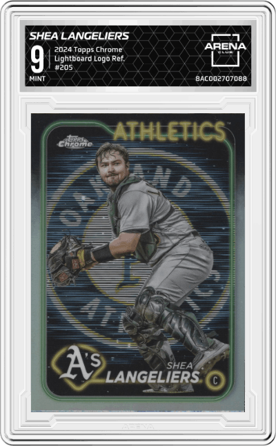 Shea Langeliers 