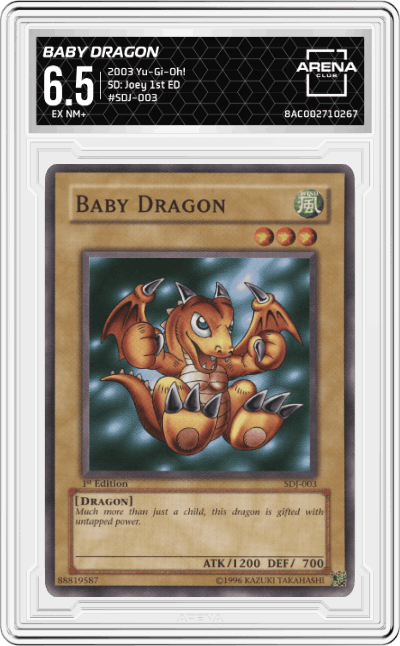 Baby Dragon