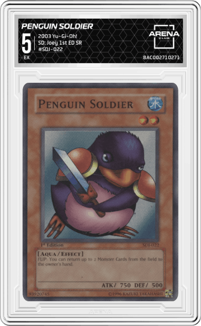 Penguin Soldier