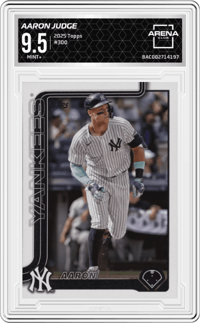 Aaron Judge