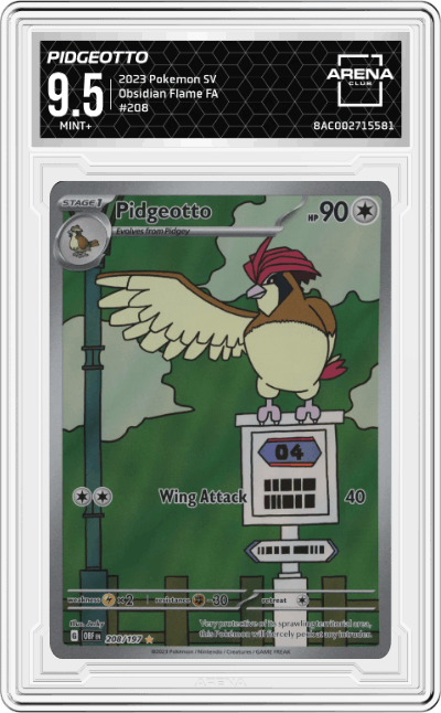 Pidgeotto