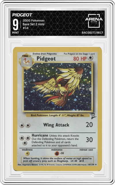 Pidgeot