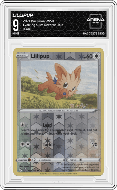 Lillipup