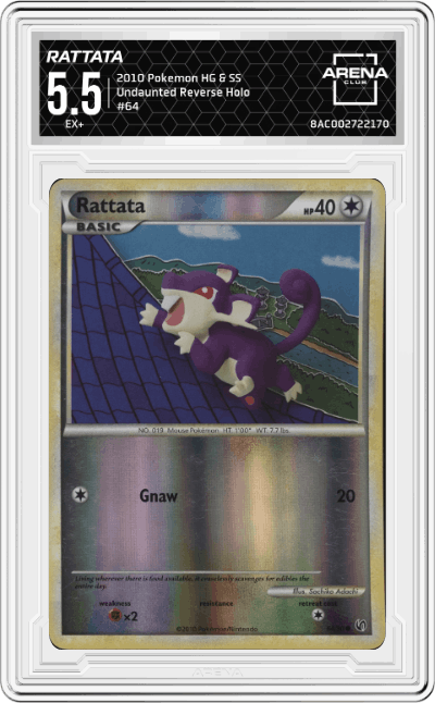 Rattata