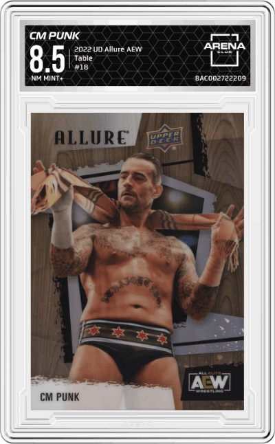 CM Punk